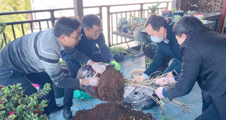 云南海泰廌合律师事务所开展植树种花活动