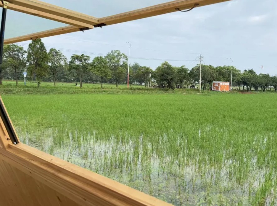 海泰财务 | 王海燕董事长镜头里的乡村振兴答卷：福保社区的美丽蜕变