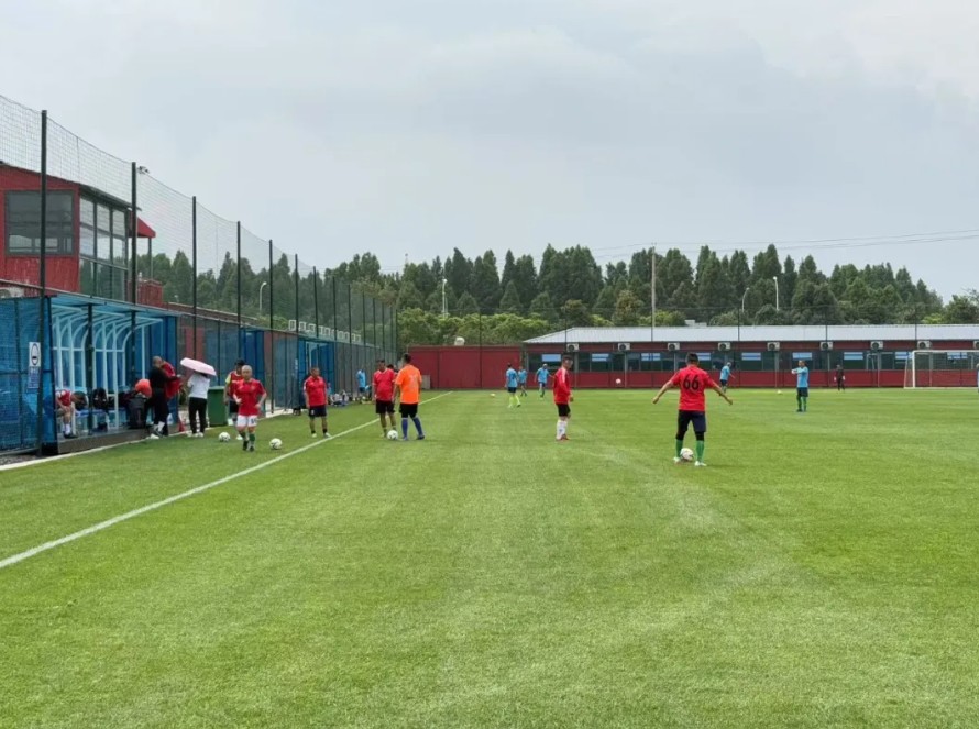 海泰财务 | 王海燕董事长镜头里的乡村振兴答卷：福保社区的美丽蜕变