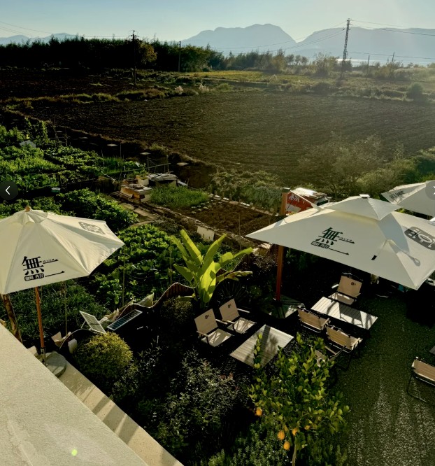 海泰财务 | 王海燕董事长镜头里的乡村振兴答卷：福保社区的美丽蜕变