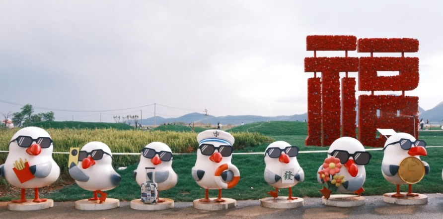 海泰财务 | 王海燕董事长镜头里的乡村振兴答卷：福保社区的美丽蜕变