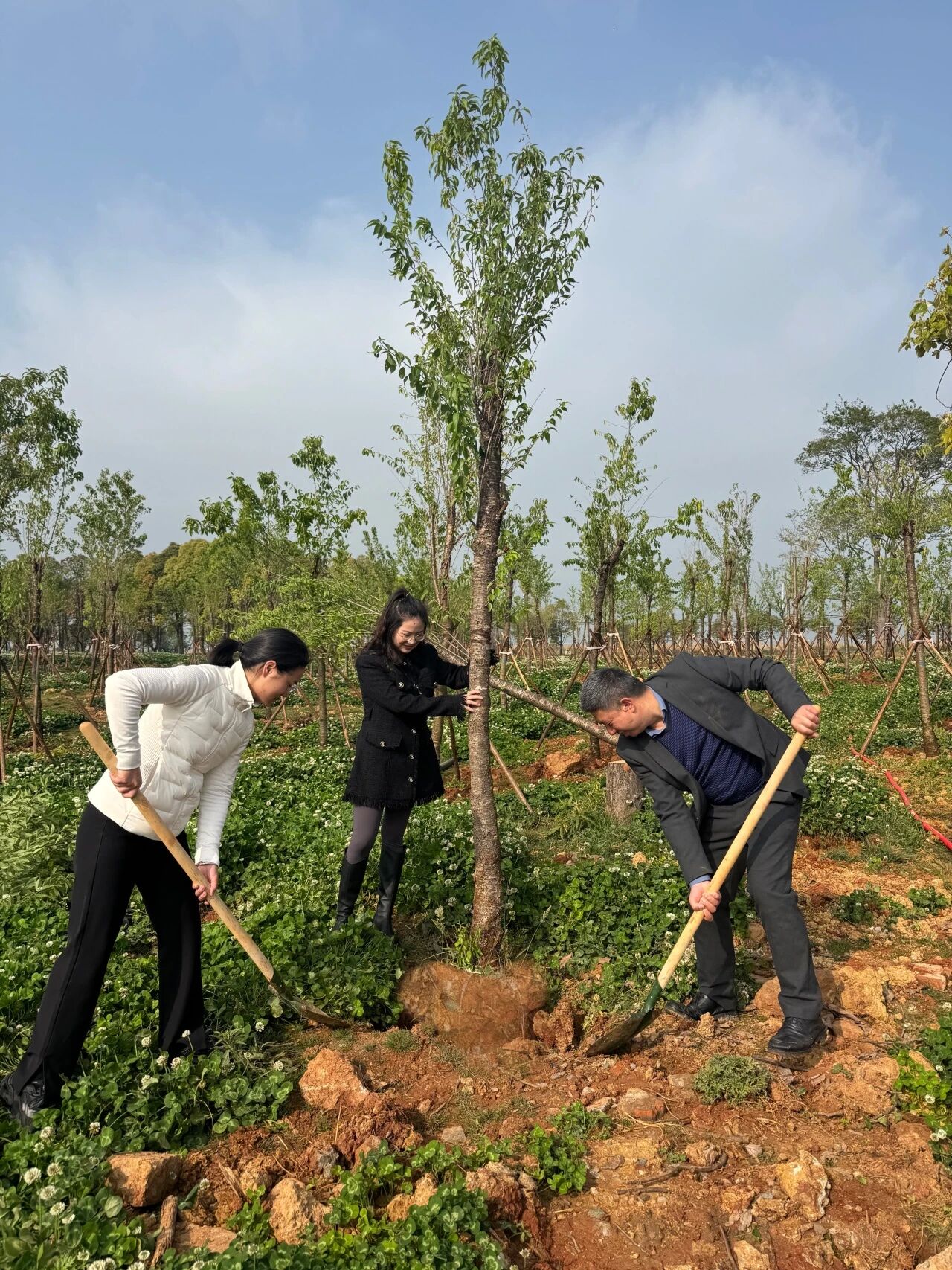 廌合党建|我所党支部积极参与“植绿护家园,同心促和谐”义务植树主题党日活动